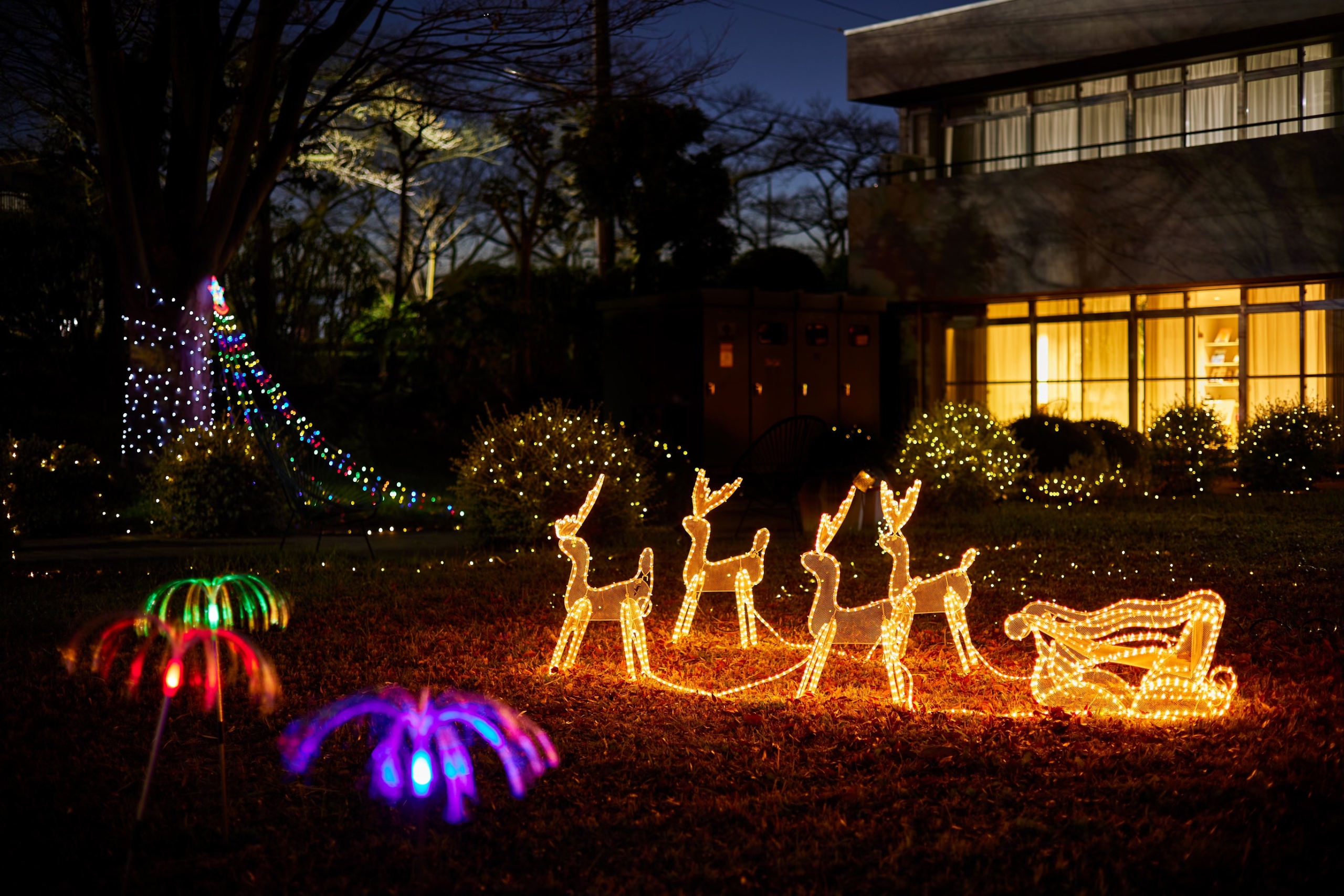 シェアプレイスで、2022年秋冬に開催したイベントまとめ⑮
