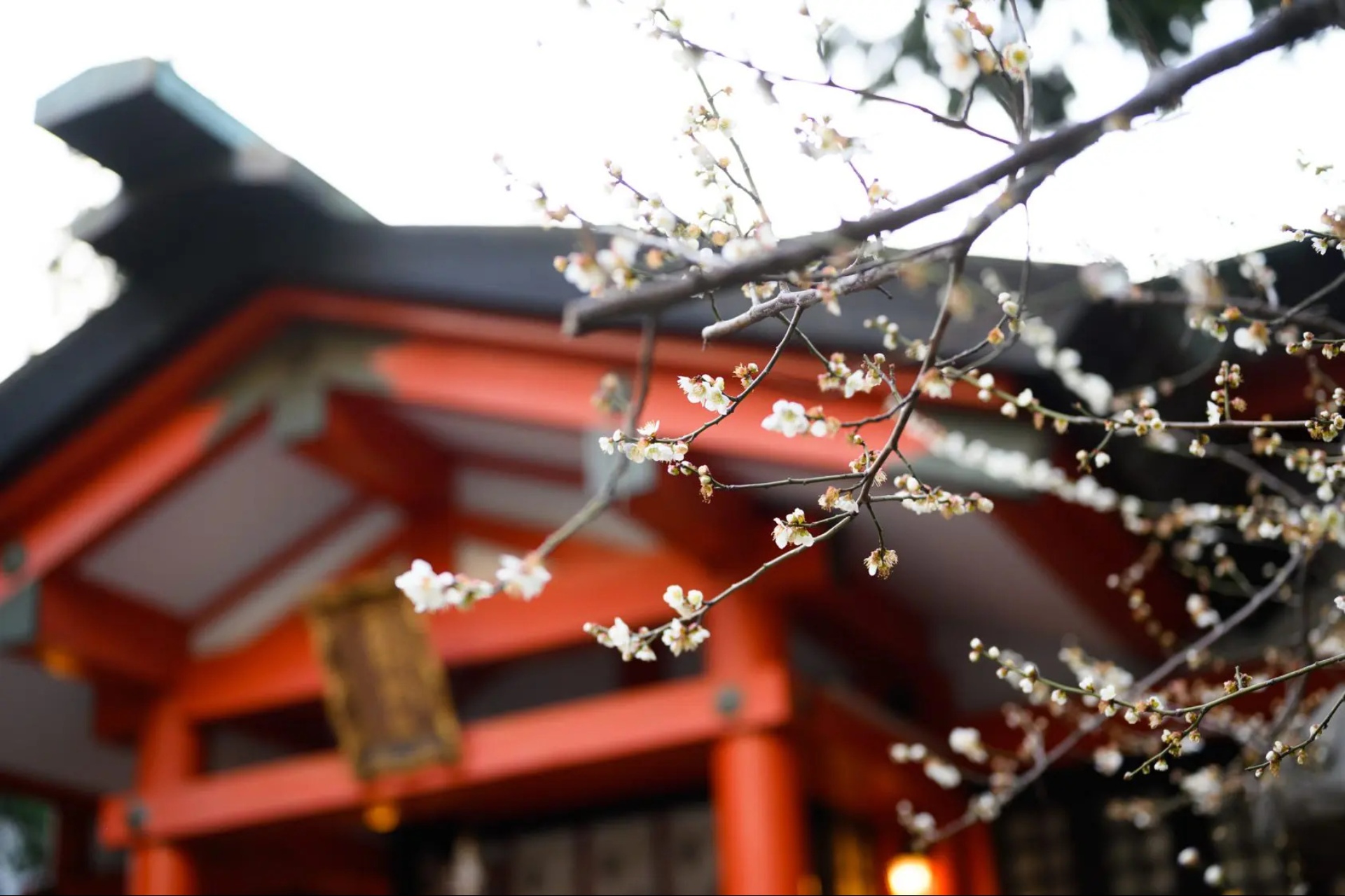 「導きの社」として知られ、「くまくま神社」の愛称で親しまれる「熊野町熊野神社」