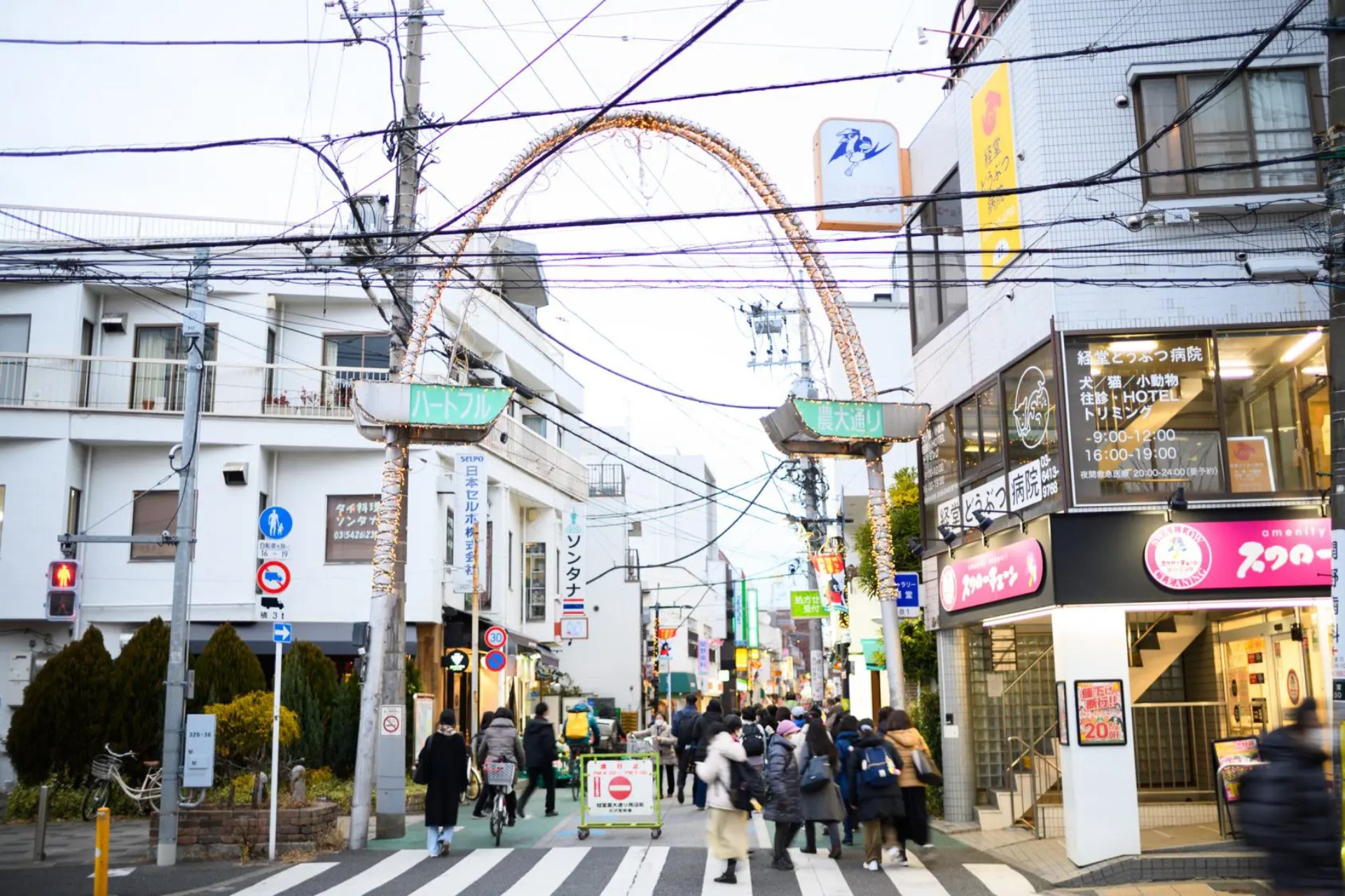 昔ながらの個人商店から人気の飲食店まで揃い、活気あふれる経堂の商店街